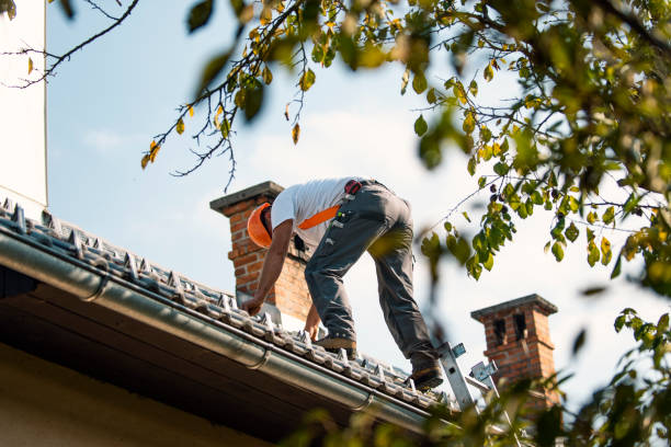 Roof Gutter Cleaning in Liberal, KS